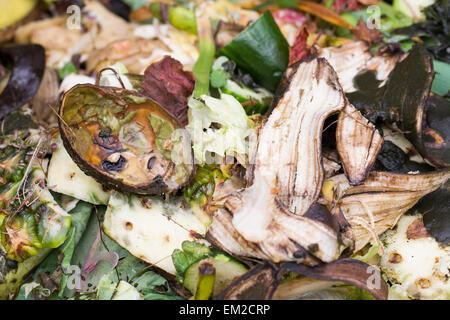 Rotting vegetable material on a garden compost heap. Stock Photo