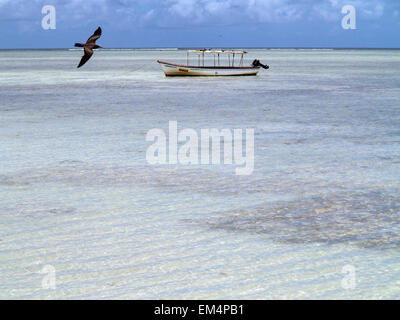 Ile aux Cocos, Island sanctuary for sea birds noddy,  Rodrigues, Mauritius, Stock Photo