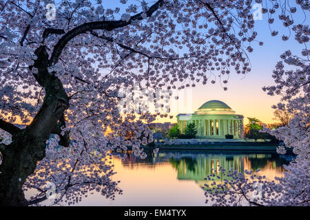 Washington, DC at the Jefferson Memorial during spring. Stock Photo