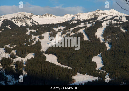 Aerial view of trees on a snow covered mountain, Whistler, British Columbia, Canada Stock Photo