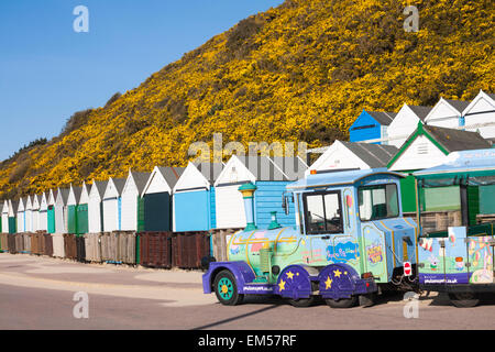 The home of Peppa Pig world - Landtrain on the promenade at Middle Chine, Bournemouth with beach huts in April Stock Photo