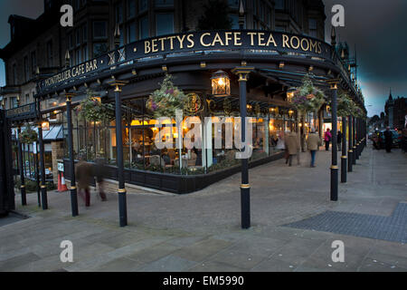 UK, England, Yorkshire, Harrogate, Parliament Street, Betty’s Tea Rooms at Christmas, night view Stock Photo