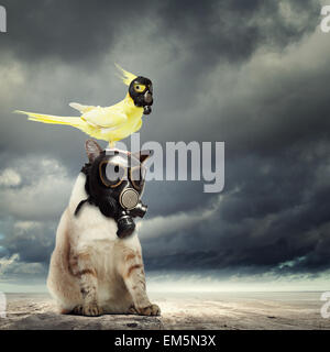 Cat And Parrot In Gas Masks. Ecology Concept Stock Photo - Alamy