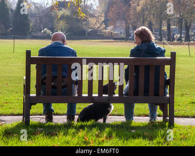 Couple sitting on park bench with dog Stock Photo