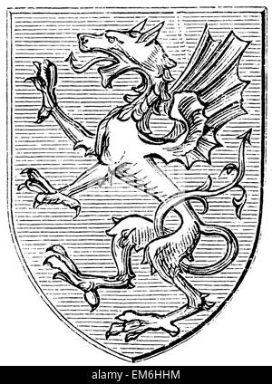 Heraldic Dragon from the later Middle Ages Stock Photo