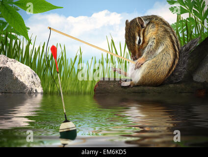 Funny chipmunk fishing with fishing-rod, angler concept Stock Photo