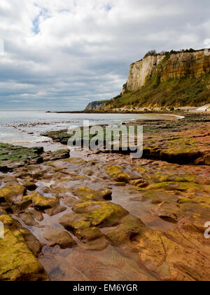 A view taken from a wave cut platform on the beach at Seaton East Devon England UK and looking west towards Beer Stock Photo