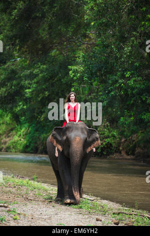 Girl riding an elephant; Chiang Mai, Thailand Stock Photo - Alamy