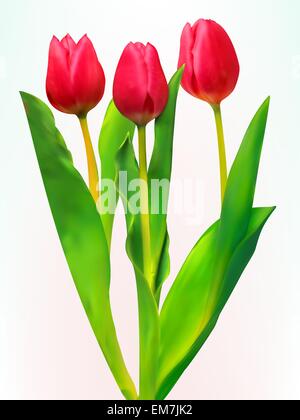 Clip art of tulips Stock Vector Image & Art - Alamy