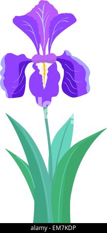Iris flower Stock Vector