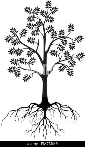 black tree silhouette isolated on white background Stock Vector