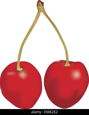 Two  cherries Stock Vector