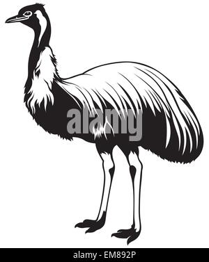 Ostrich Emu Stock Vector