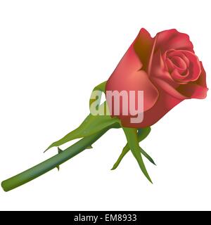 Red Rose Stock Vector