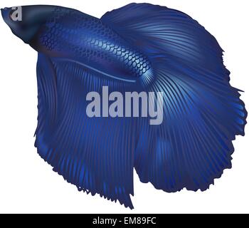 Fighting Fish Stock Vector