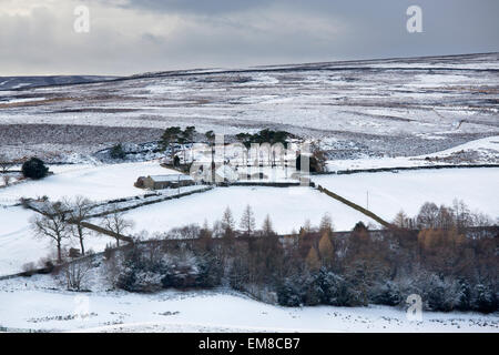 Commondale Moor and Farmhouse in Winter, North York Moors National Park Stock Photo