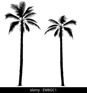 Palm Tree Silhouettes Stock Vector
