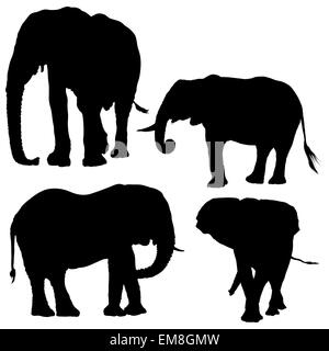 Elephant Silhouettes Vector Collection Stock Vector Image & Art - Alamy