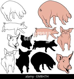 Vector collection of pig silhouettes Stock Vector Image & Art - Alamy