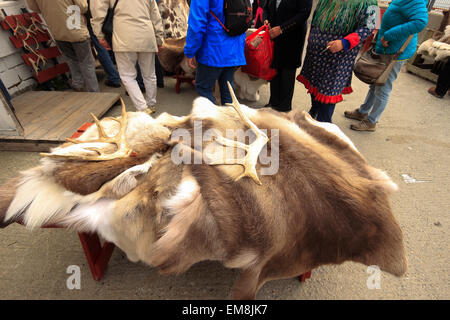 Fur pelts for sale outside a souvenir shop, Honningsvåg, Nordkapp, Finnmark, Norway, Scandinavia, Europe Stock Photo