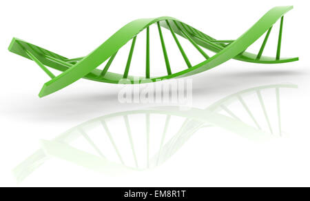 3d DNA model on white background. digitally generated image. Stock Photo