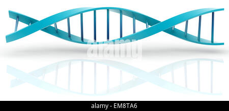 3d DNA model on white background. digitally generated image. Stock Photo