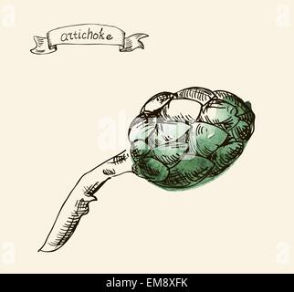 Hand drawn illustration of artichoke Stock Vector