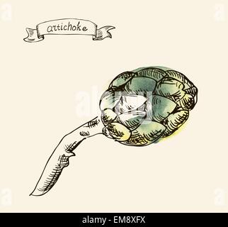 Hand drawn illustration of artichoke Stock Vector