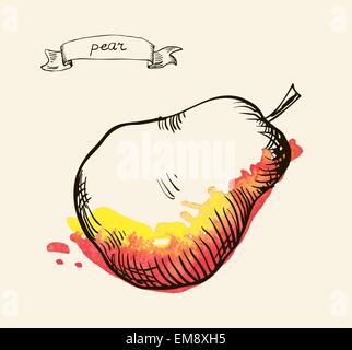 Hand drawn illustration of pear Stock Vector