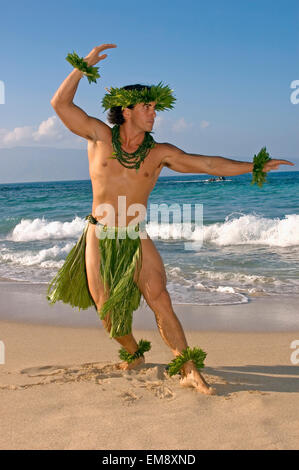 Male Hula Dancer In Ti-Leaf Costume, Haku, Lei, In A Dancing Pose On ...