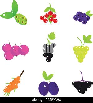 Summer Fruit and Berries set isolated on white Stock Vector