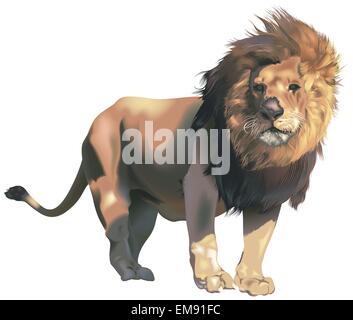 Male Lion Stock Vector