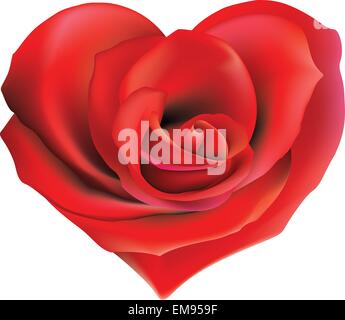 Red rose in the shape of heart Stock Vector