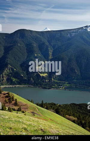 WASHINGTON - View of the Columbia River and Mount Hood from Dog Mountain in the Columbia River Gorge National Scenic Area. Stock Photo