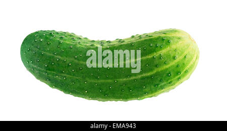 Fresh cucumber on white background Stock Photo