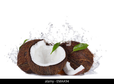 Isolated shot of cracked coconuts with water splash on white background Stock Photo