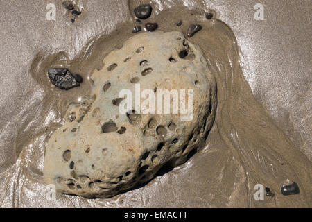 Rock with holes eroded on the beach at Cape Kidnappers, New Zealand. Stock Photo