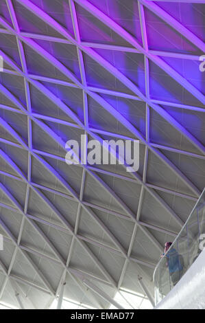 New roof of the Western concourse at King's Cross station, London, Great Britain. Stock Photo