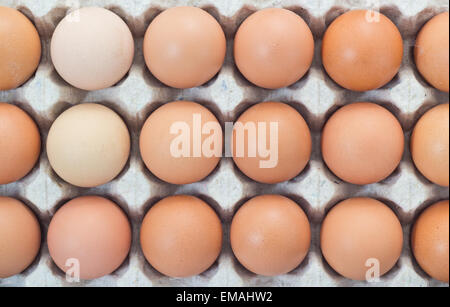 Eggs in carton package Stock Photo