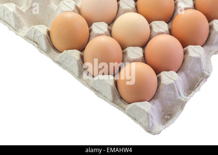 Eggs in carton package with clipping path Stock Photo