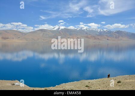 Tso Moriri, Lake Moriri, India, Ladakh, Mountains Stock Photo