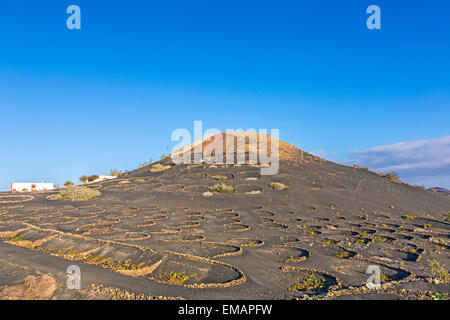 volcano in La Geria, Lanzarote Stock Photo