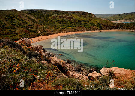 The 'golden sandy' beach of 'Ghajn Tuffieha Bay' in northwest Malta. Stock Photo