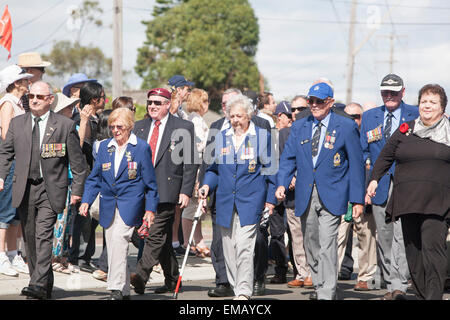 Sydney,Australia. 19th April, 2015. ANZAC commemorative and centenary Parade and march with elderly male men and women veterans , wearing medals, walking in the Parade, lest we forget, Anzac Day Australia Stock Photo