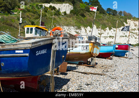 Beer Beach, Devon, South West England Stock Photo