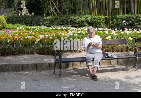 A woman reading a book on a bench in a park Stock Photo