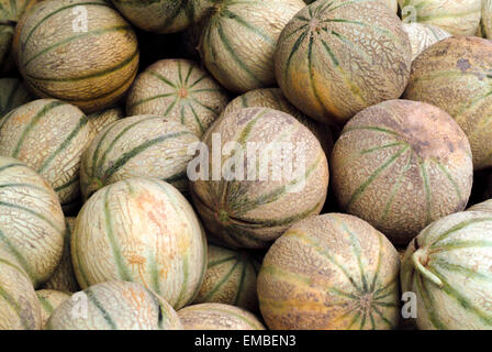 Muskmelon or cantaloupe or netted melon on a market stand in Provence France Stock Photo
