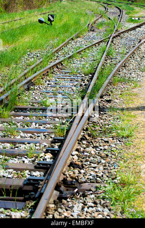 Old Overgrown Train Tracks With Turnout Stock Photo
