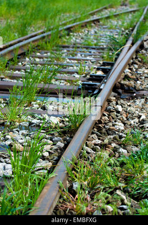 Old Overgrown Train Tracks With Turnout Stock Photo