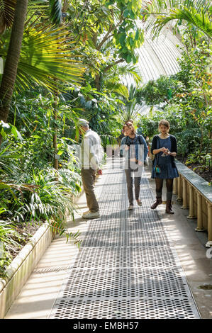 People visiting interior of the Palm House in the Kew Gardens, London England United Kingdom UK Stock Photo